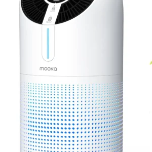 Large Room Air Purifier with H13 HEPA Filter